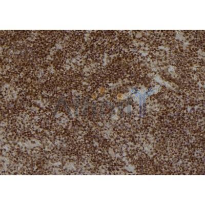 Валидация Affinity DF6613 - 18072