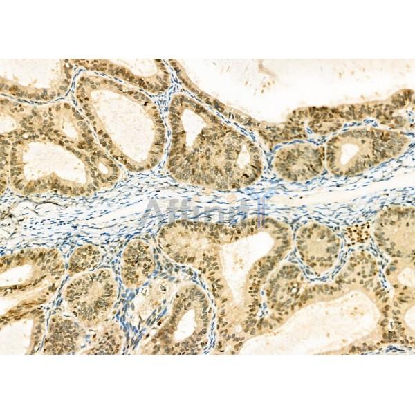 Валидация Affinity DF4248 - 15633