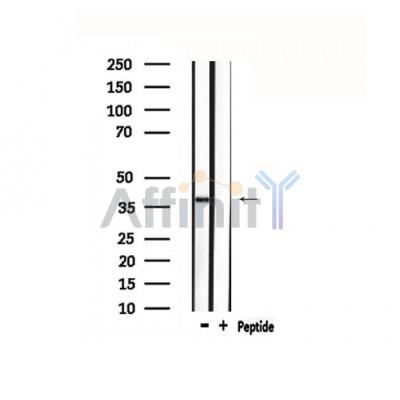 Валидация Affinity DF4873 - 16657