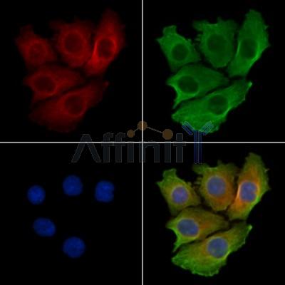 Валидация Affinity DF2692 - 13405