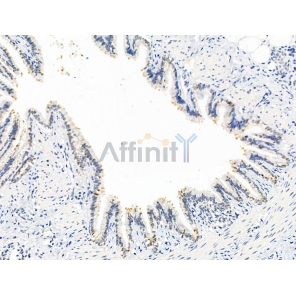 Валидация Affinity AF5349 - 2947