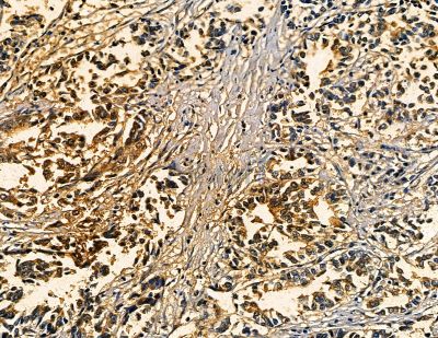 Валидация Affinity DF13760 - 9420