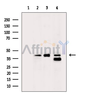 Валидация Affinity DF13797 - 9470
