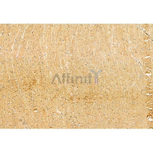 Валидация Affinity DF12019 - 6033