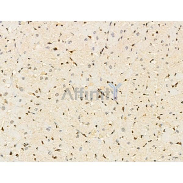 Валидация Affinity DF13124 - 8043