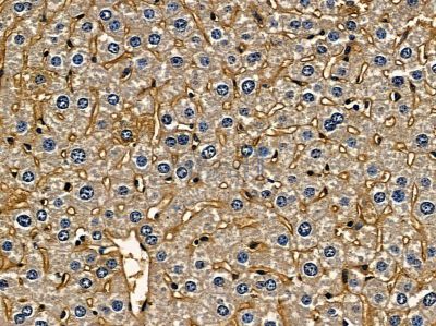 Валидация Affinity DF4221 - 15593