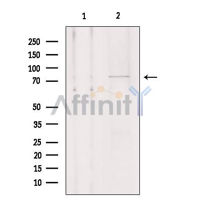 Валидация Affinity DF4533 - 16109