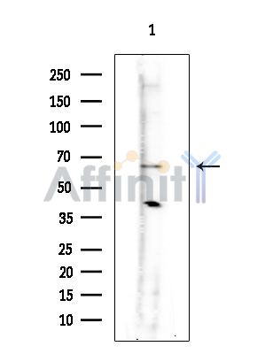 Валидация Affinity DF7620 - 19391