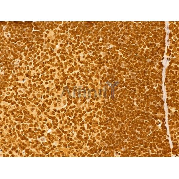 Валидация Affinity DF12216 - 6490