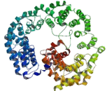Integrator Complex Subunit 2 (INTS2) Integrator Complex Subunit 2 (INTS2)