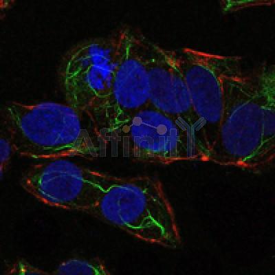 Валидация Affinity BF9215 - 5433