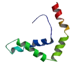 SWI/SNF Related, Matrix Associated, Actin Dependent Regulator Of Chromatin, Subfamily E, Member 1 (SMARCE1)