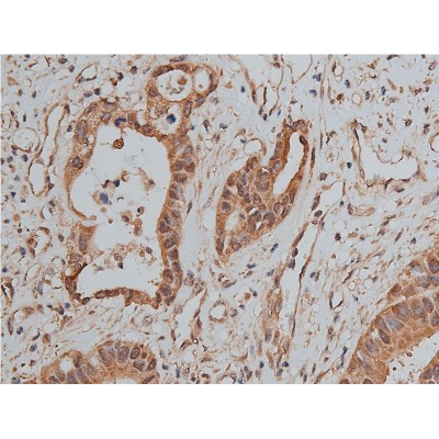 Валидация Affinity AF5311 - 2866