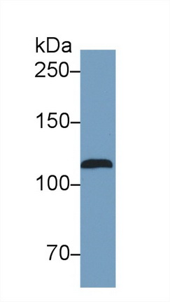 39849