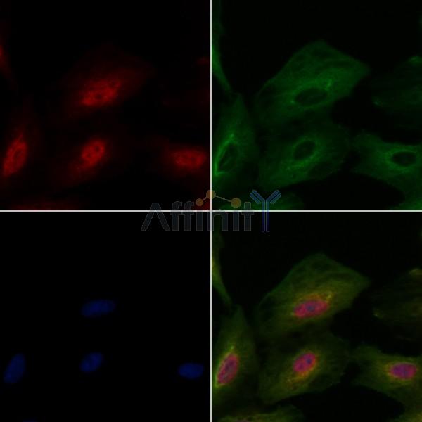 Валидация Affinity DF6585 - 18027