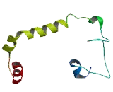 G Protein Coupled Receptor, Family C, Group 5, Member C (GPRC5C) G Protein Coupled Receptor, Family C, Group 5, Member C (GPRC5C)