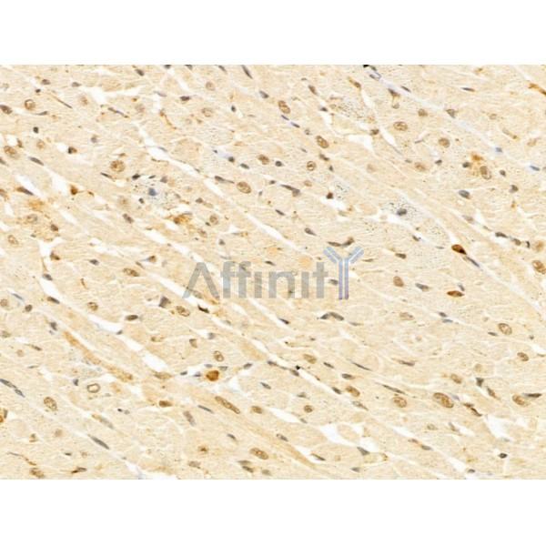 Валидация Affinity DF13029 - 7849