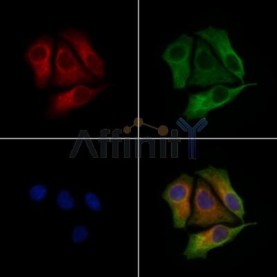 Валидация Affinity AF7681 - 4366