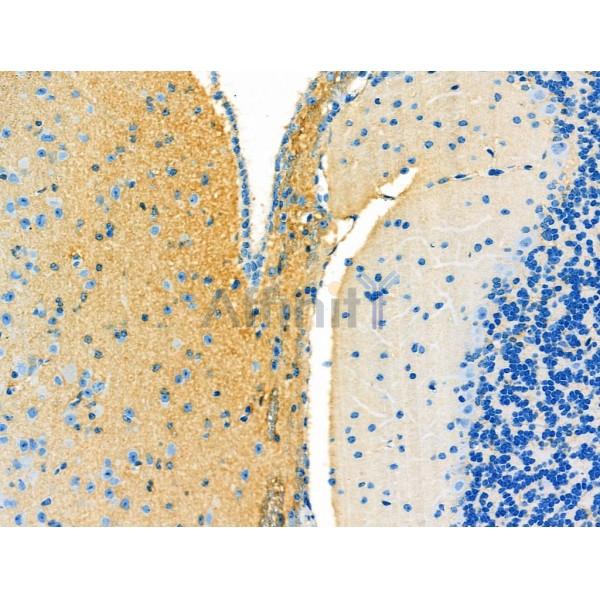 Валидация Affinity DF7766 - 19586