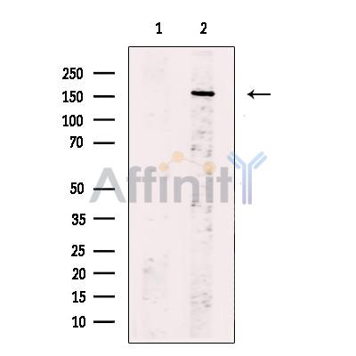 Валидация Affinity DF2291 - 12849