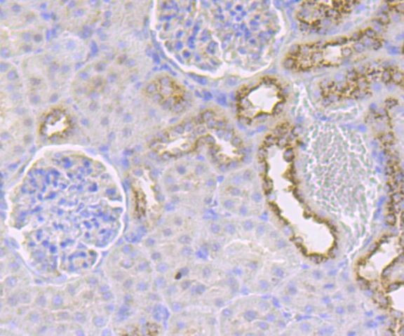 Валидация AssayVector ARM2256(3826)