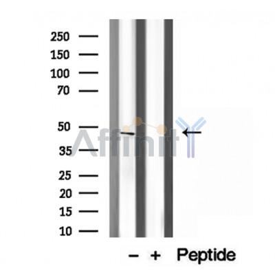 Валидация Affinity DF12204 - 6460