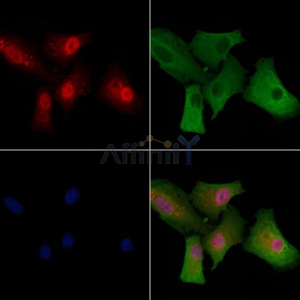 Валидация Affinity DF9233 - 21649