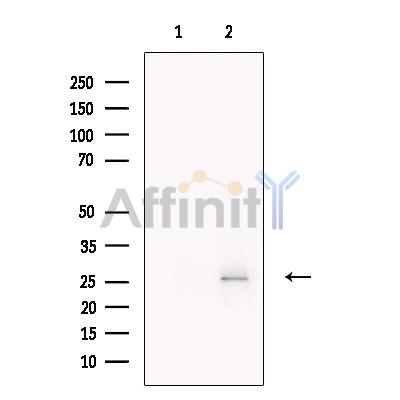 Валидация Affinity DF13747 - 9400