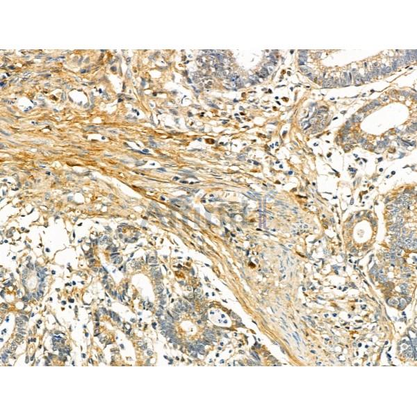 Валидация Affinity DF6543 - 17976