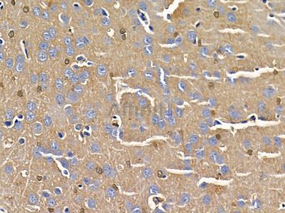 Валидация Affinity DF3969 - 15185