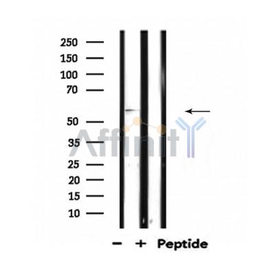 Валидация Affinity DF4572 - 16170