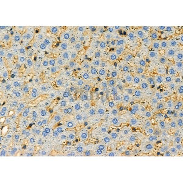 Валидация Affinity DF3898 - 15066