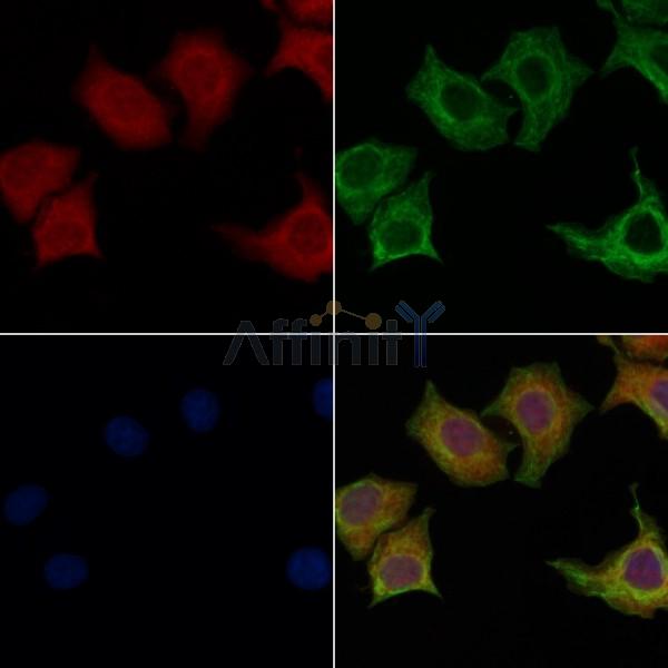 Валидация Affinity DF4943 - 16772