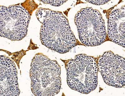 Валидация Affinity DF14825 - 10933