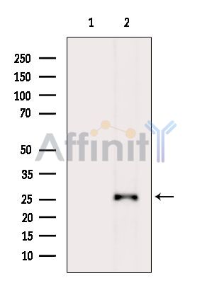 Валидация Affinity DF15952 - 12471