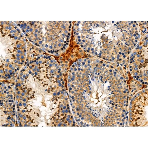 Валидация Affinity DF6656 - 18135