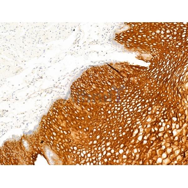 Валидация Affinity DF13730 - 9368