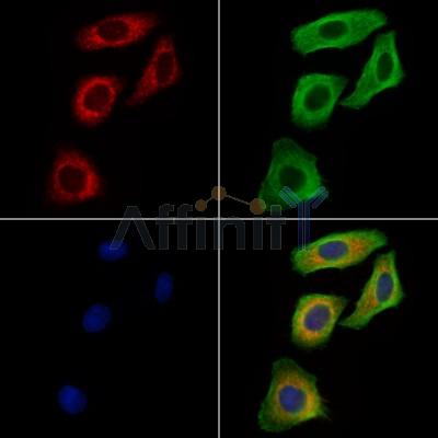 Валидация Affinity AF6046 - 3250