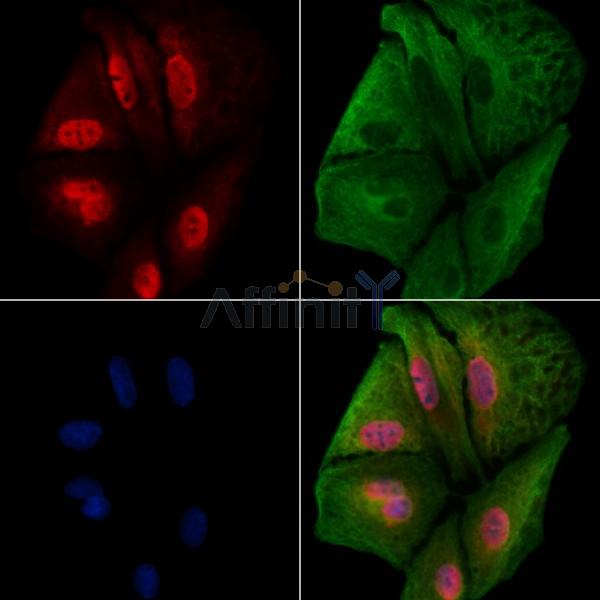 Валидация Affinity DF9294 - 21750