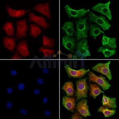 Валидация Affinity DF12349 - 6783