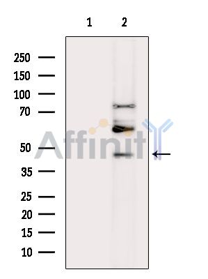 Валидация Affinity DF14506 - 10490
