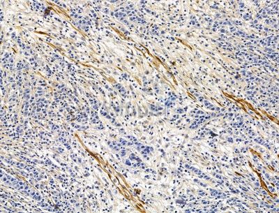 Валидация Affinity DF15092 - 11336