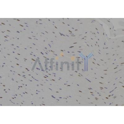 Валидация Affinity DF7539 - 19288