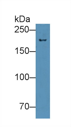 9001