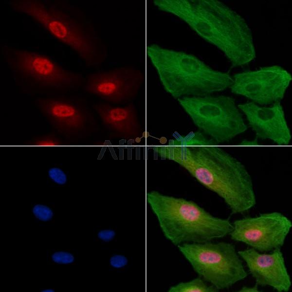 Валидация Affinity DF7888 - 19708