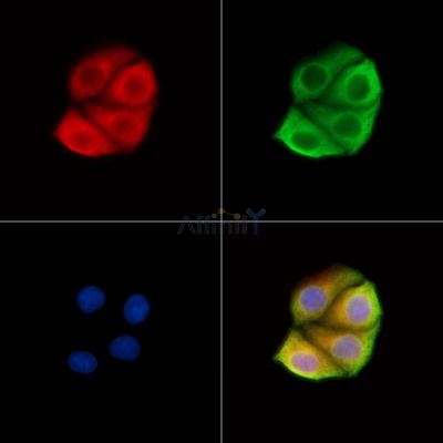 Валидация Affinity DF14070 - 9855