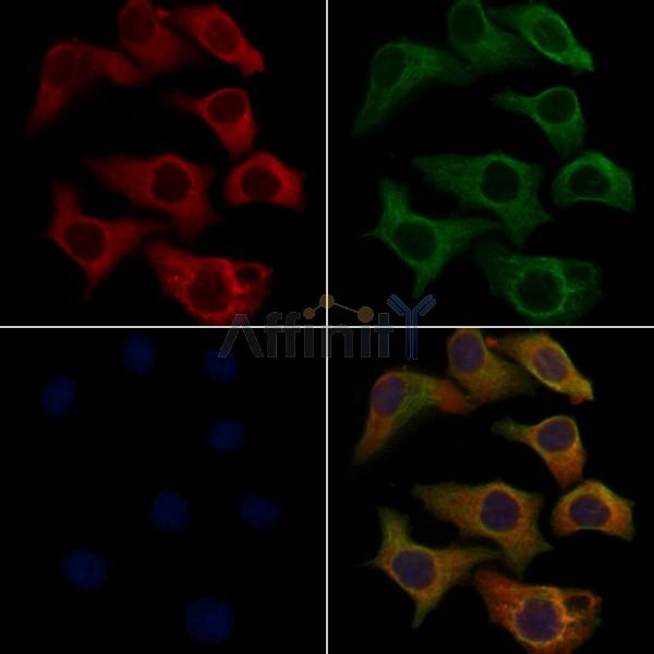 Валидация Affinity DF5153 - 17119