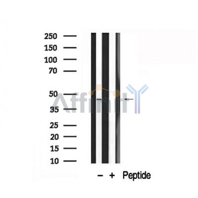 Валидация Affinity AF7847 - 4580