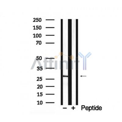 Валидация Affinity AF7928 - 4678