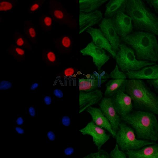 Валидация Affinity DF8055 - 19884